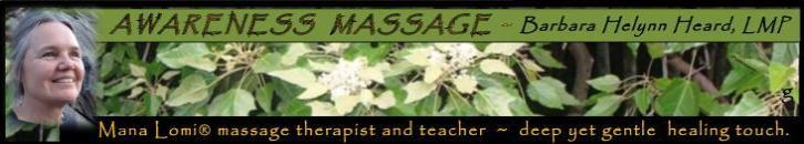 logo for lomilomi-massage.org